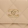 Chanel Rainbow Crossbody Bag