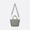 Small Dior Toujours Vertical Tote Bag