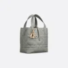 Small Dior Toujours Vertical Tote Bag