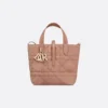 Small Dior Toujours Vertical Tote Bag